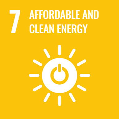SDG 07