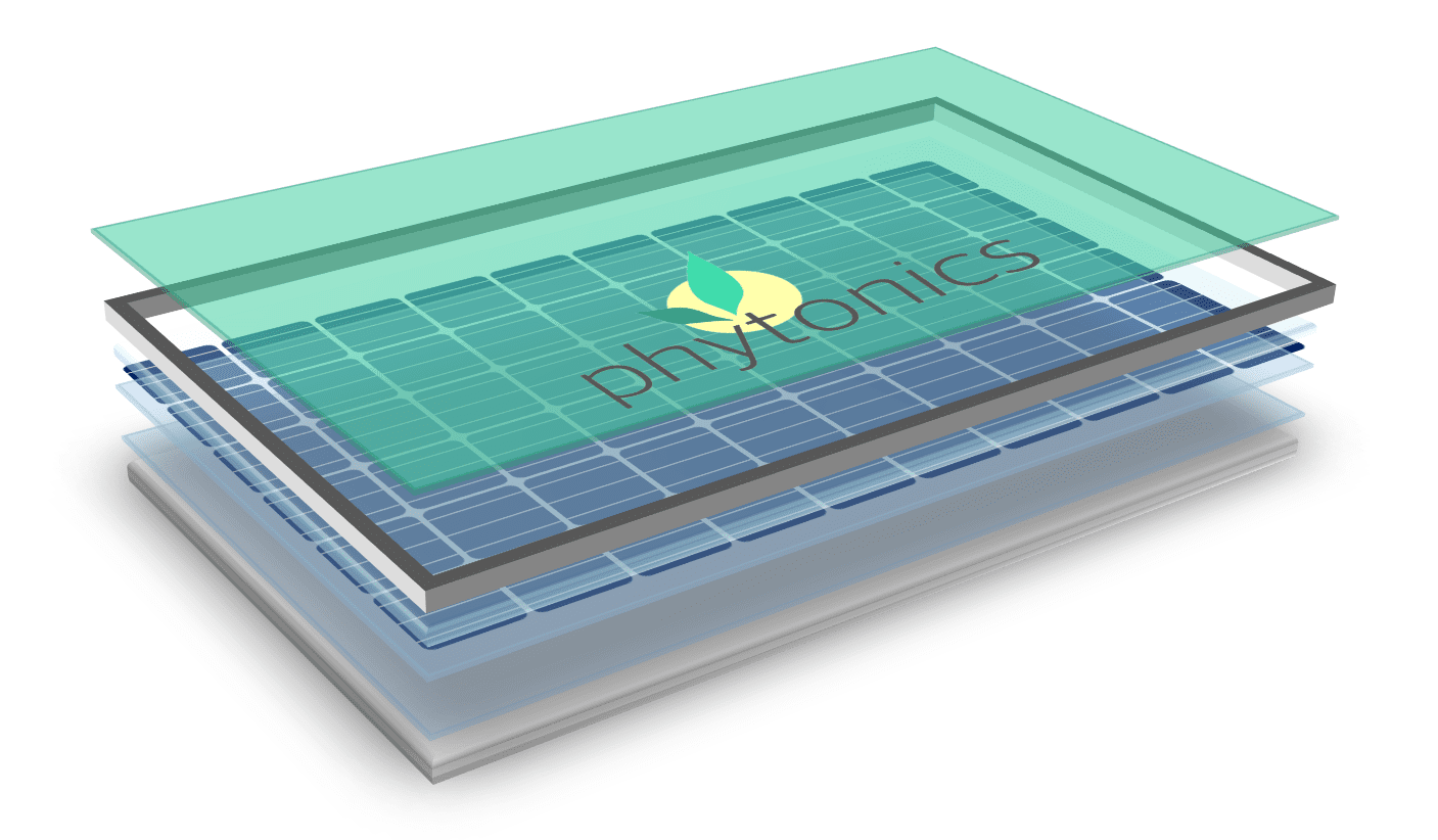 Phytonics GmbH