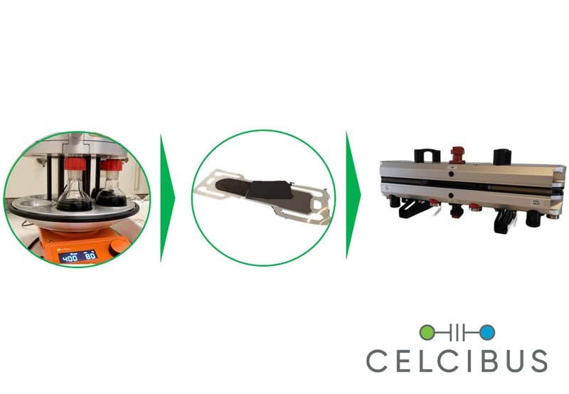 Celcibus
